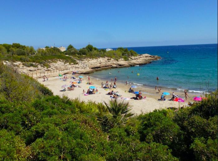 Estudio I Ideal Para Parejas En La Playa Alguer L'Ametlla de Mar Exterior foto